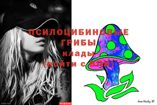стаф Покров