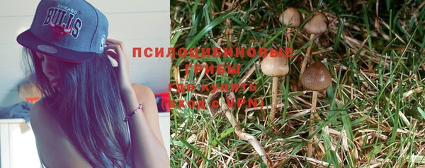 стаф Покров