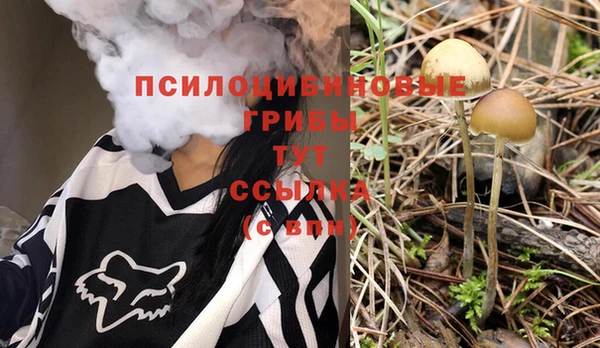 тгк Бутурлиновка